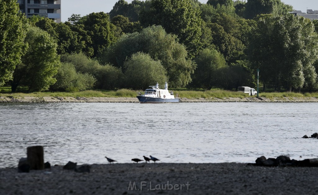 Schiff 1 Koeln in Hoehe der Koelner Zoobruecke P034.JPG - Miklos Laubert